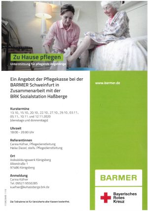 Download PDF: Zu Hause pflegen Download PDF: Zu Hause pflegen