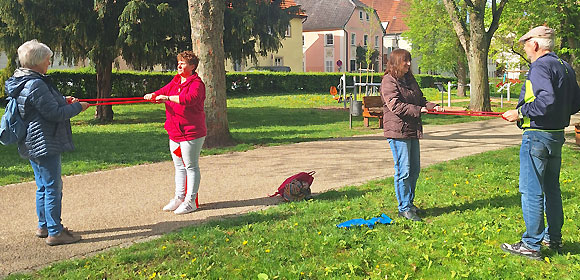 MIT & FIT in der Haßfurter Promenade (Foto: Hannah Baunacher)