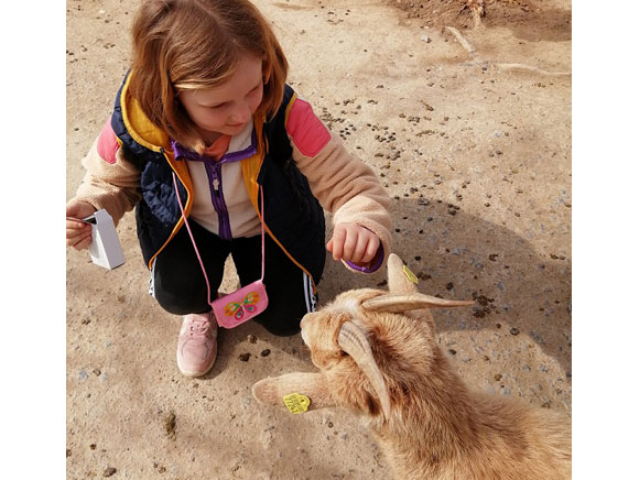: Im Streichelzoo des Wildparks an den Eichen konnten die Kinder den Tieren ganz nah sein und diese auch füttern (Foto: Yvonne Jäger/BRK MB Dürrerweg) : Im Streichelzoo des Wildparks an den Eichen konnten die Kinder den Tieren ganz nah sein und diese auch füttern (Foto: Yvonne Jäger/BRK MB Dürrerweg)