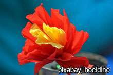 Kinderhotel: Frühlingsblumen